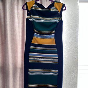 En Focus Dress Size 8